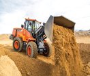 Doosan DL250-5
